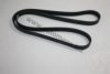 AUTOMEGA 3063400666 V-Ribbed Belts